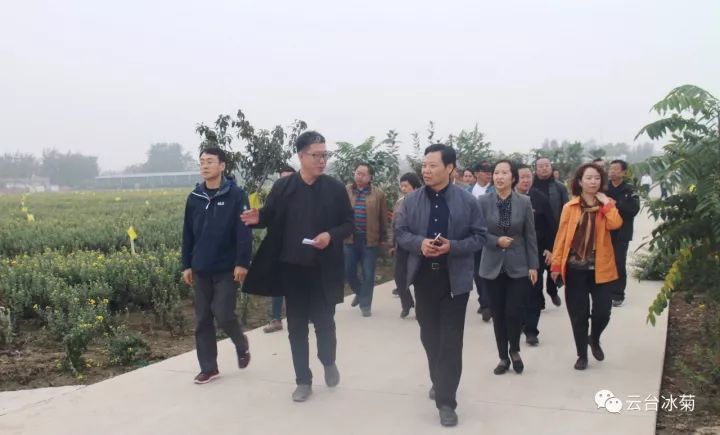 云臺冰菊基地發生了什么？一批批領導專家團隊前來！